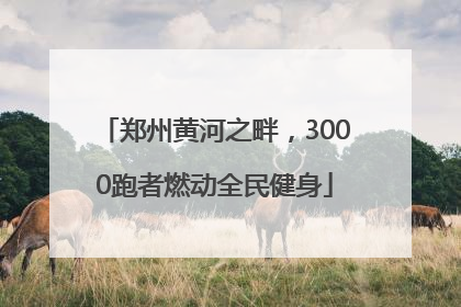 郑州黄河之畔，3000跑者燃动全民健身