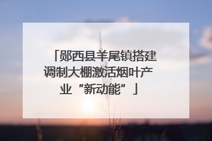 郧西县羊尾镇搭建调制大棚激活烟叶产业“新动能”