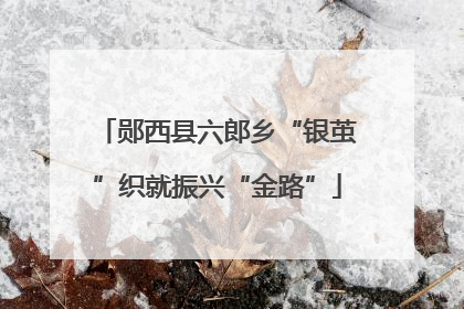 郧西县六郎乡“银茧”织就振兴“金路”