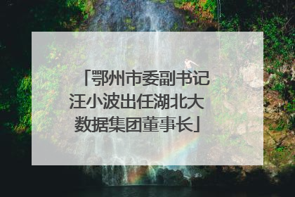 鄂州市委副书记汪小波出任湖北大数据集团董事长