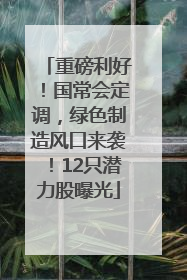 重磅利好！国常会定调，绿色制造风口来袭！12只潜力股曝光