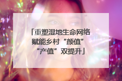 重塑湿地生命网络 赋能乡村“颜值”“产值”双提升