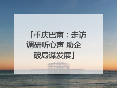 重庆巴南：走访调研听心声 助企破局谋发展