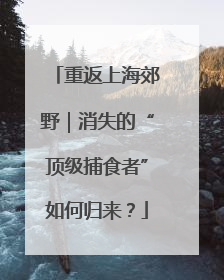 重返上海郊野｜消失的“顶级捕食者”如何归来？