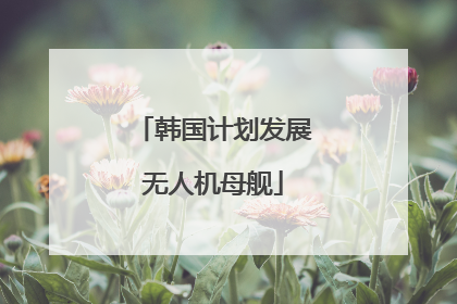 韩国计划发展无人机母舰