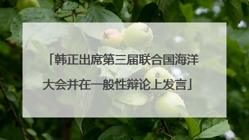 韩正出席第三届联合国海洋大会并在一般性辩论上发言