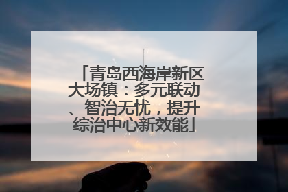 青岛西海岸新区大场镇：多元联动、智治无忧，提升综治中心新效能