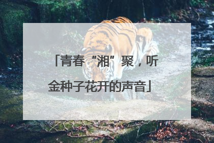 青春“湘”聚，听金种子花开的声音