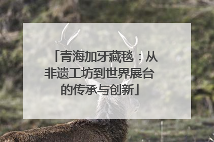 青海加牙藏毯：从非遗工坊到世界展台的传承与创新