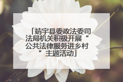 靖宇县委政法委司法局机关积极开展“公共法律服务进乡村”主题活动