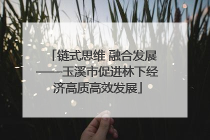 链式思维 融合发展——玉溪市促进林下经济高质高效发展