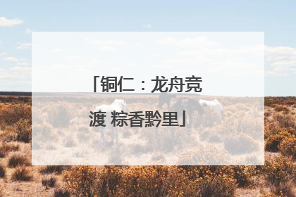 铜仁：龙舟竞渡 粽香黔里