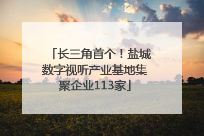 长三角首个！盐城数字视听产业基地集聚企业113家