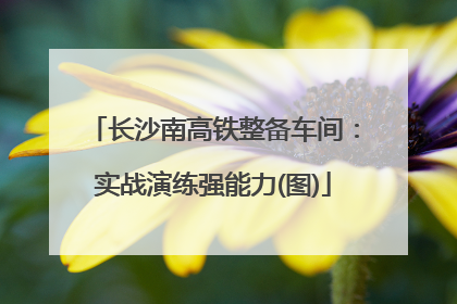 长沙南高铁整备车间：实战演练强能力(图)