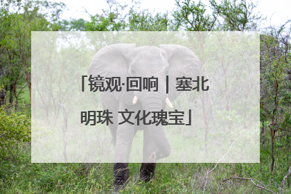 镜观·回响｜塞北明珠 文化瑰宝