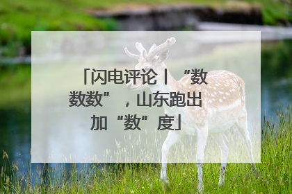 闪电评论丨“数数数”，山东跑出加“数”度