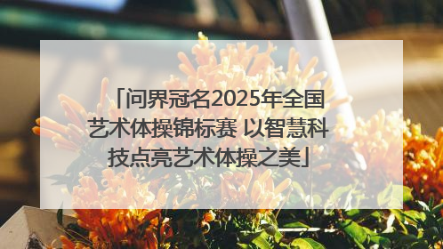 问界冠名2025年全国艺术体操锦标赛 以智慧科技点亮艺术体操之美