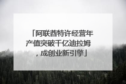 阿联酋特许经营年产值突破千亿迪拉姆，成创业新引擎
