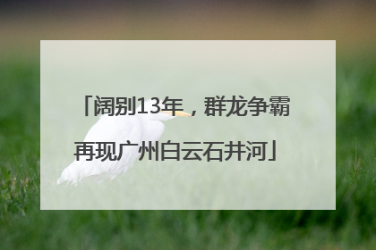 阔别13年，群龙争霸再现广州白云石井河