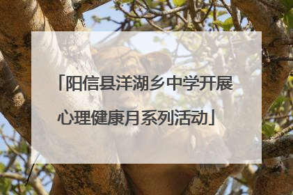阳信县洋湖乡中学开展心理健康月系列活动