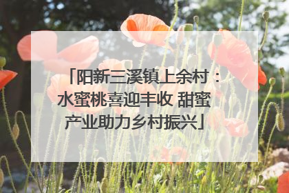 阳新三溪镇上余村：水蜜桃喜迎丰收 甜蜜产业助力乡村振兴