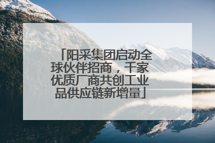 阳采集团启动全球伙伴招商，千家优质厂商共创工业品供应链新增量