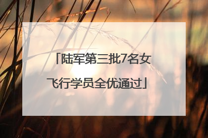 陆军第三批7名女飞行学员全优通过