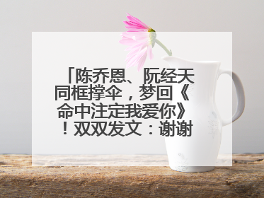 陈乔恩、阮经天同框撑伞，梦回《命中注定我爱你》！双双发文：谢谢我们都没变