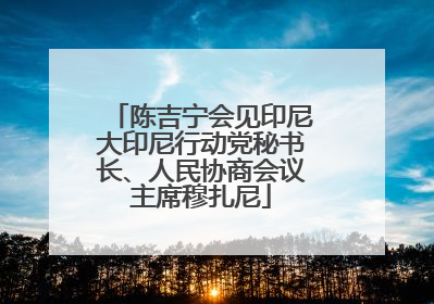 陈吉宁会见印尼大印尼行动党秘书长、人民协商会议主席穆扎尼