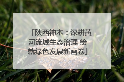 陕西神木：深耕黄河流域生态治理 绘就绿色发展新画卷