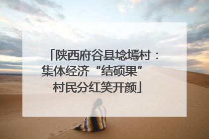 陕西府谷县埝墕村：集体经济“结硕果” 村民分红笑开颜