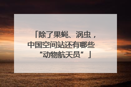 除了果蝇、涡虫，中国空间站还有哪些“动物航天员”
