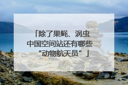 除了果蝇、涡虫 中国空间站还有哪些“动物航天员”
