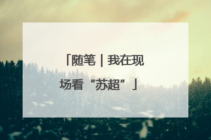 随笔｜我在现场看“苏超”