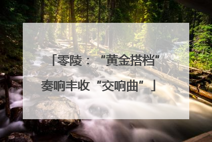 零陵：“黄金搭档”奏响丰收“交响曲”