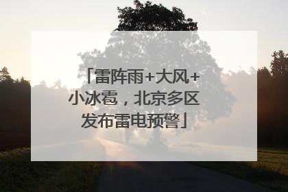 雷阵雨+大风+小冰雹，北京多区发布雷电预警