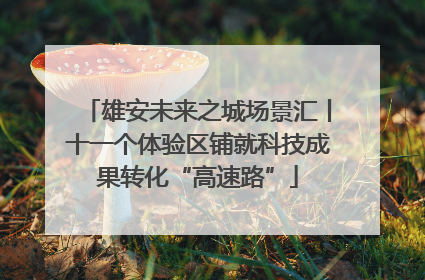 雄安未来之城场景汇丨十一个体验区铺就科技成果转化“高速路”