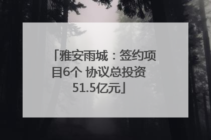 雅安雨城：签约项目6个 协议总投资51.5亿元