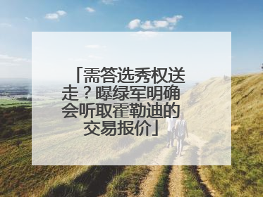 需答选秀权送走？曝绿军明确会听取霍勒迪的交易报价