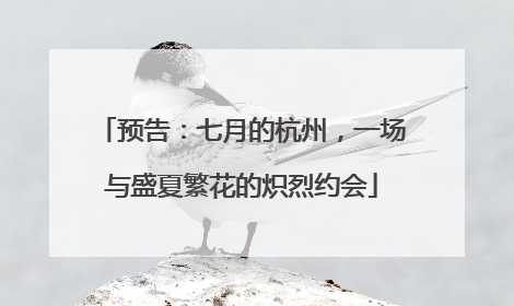 预告：七月的杭州，一场与盛夏繁花的炽烈约会