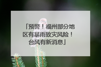 预警！福州部分地区有暴雨致灾风险！台风有新消息