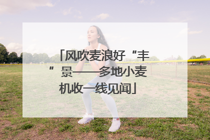 风吹麦浪好“丰”景——多地小麦机收一线见闻