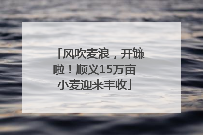 风吹麦浪，开镰啦！顺义15万亩小麦迎来丰收