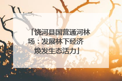 饶河县国营通河林场：发展林下经济 焕发生态活力