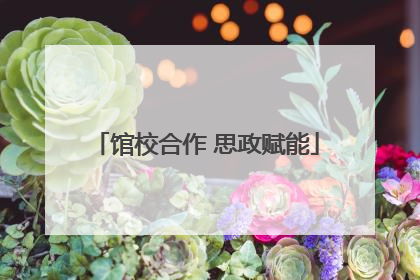 馆校合作 思政赋能