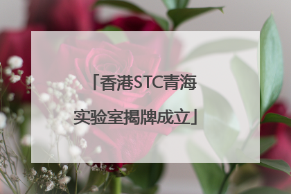 香港STC青海实验室揭牌成立