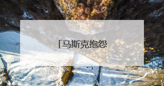 马斯克抱怨成替罪羊