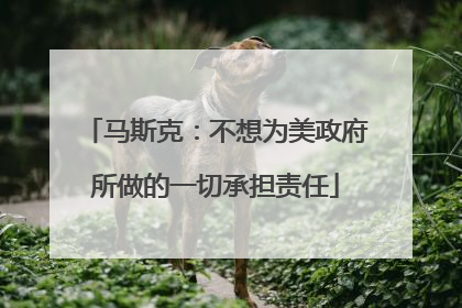 马斯克：不想为美政府所做的一切承担责任