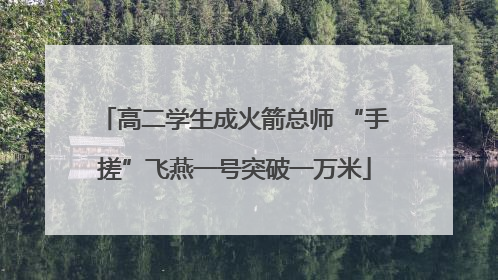 高二学生成火箭总师 “手搓”飞燕一号突破一万米