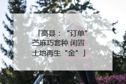 高县：“订单”苎麻巧套种 闲置土地再生“金”